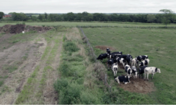 コンポーネント確認用（※消さないでください。）
